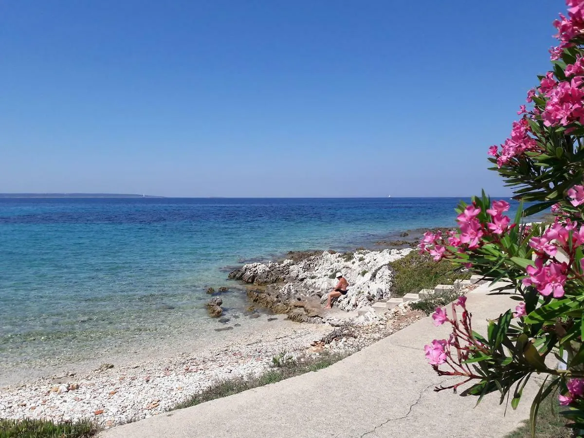 Apartment Marina Silba 0*,